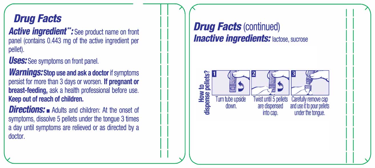 Boiron Homeopathics Bryonia