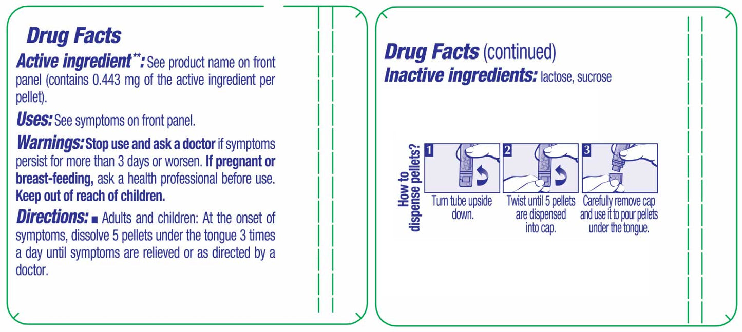 Boiron Homeopathics Rhus Tox