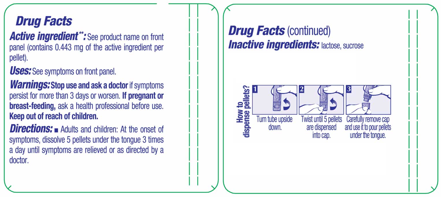 Boiron Homeopathics Rhus Tox