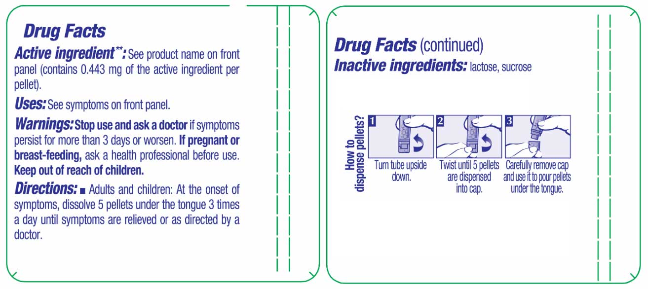 Boiron Homeopathics Zincum Metallicum