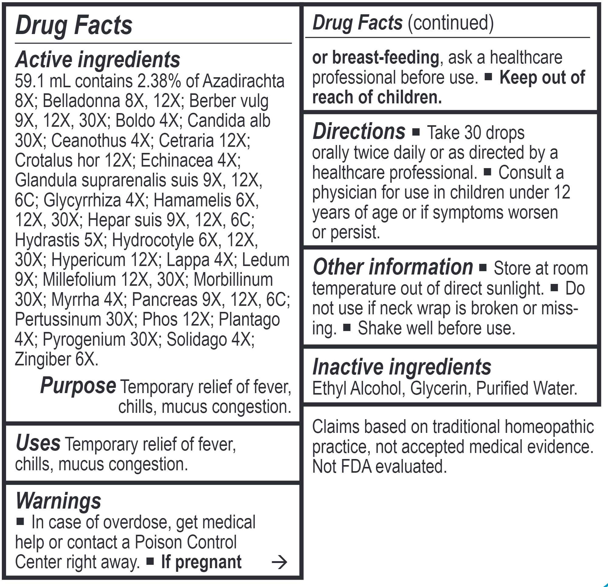 Energetix Bacteria-Chord