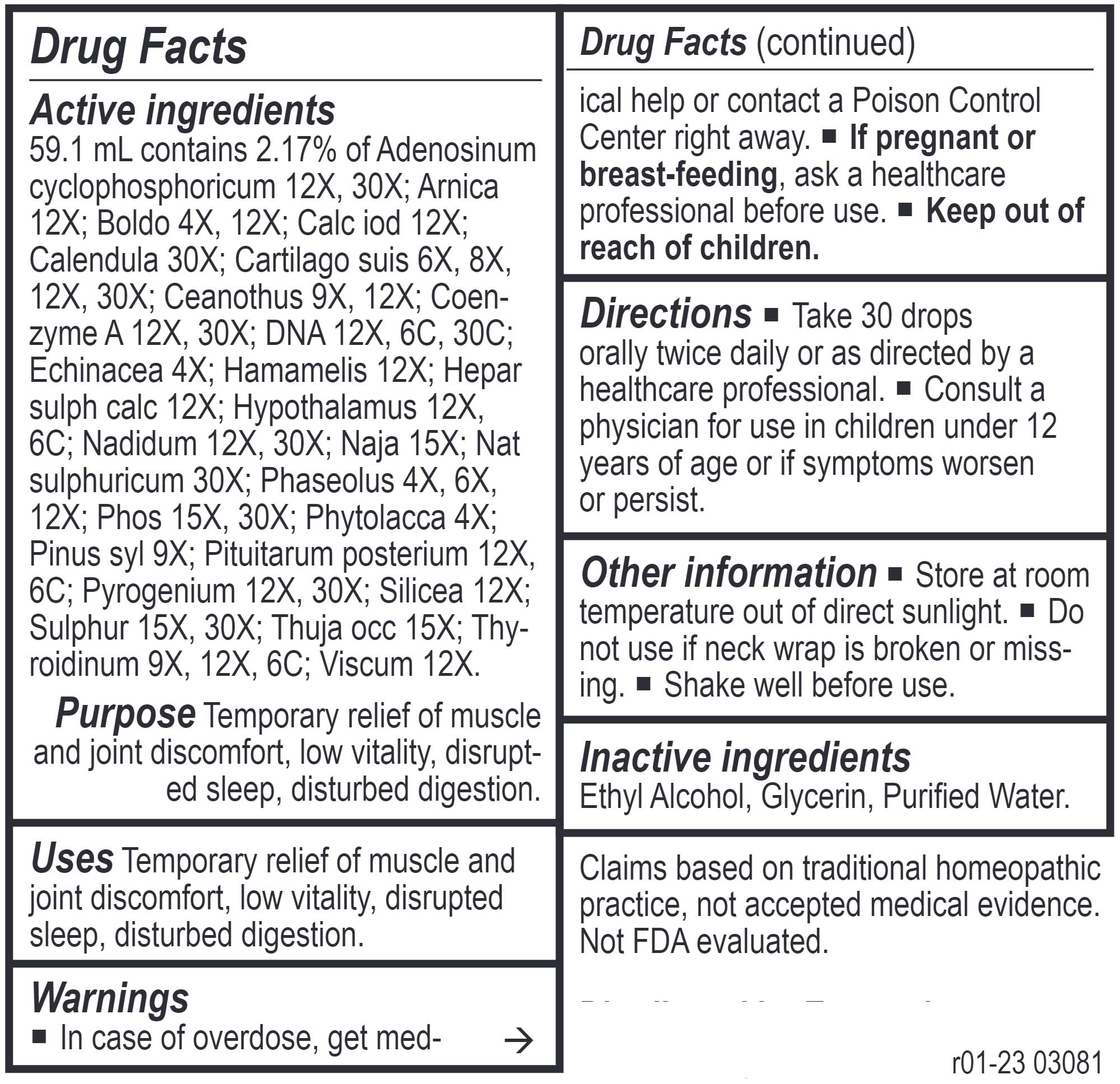 Energetix Lymph-Tone III