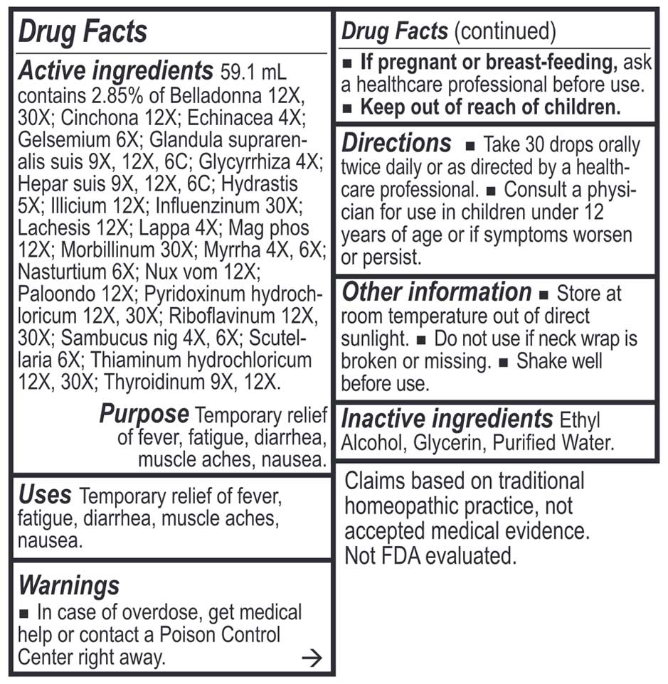 Energetix Viru-Chord
