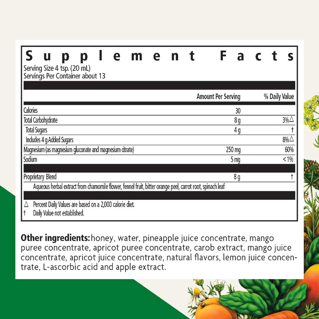Floradix (Salus) Magnesium Liquid Mineral Formula