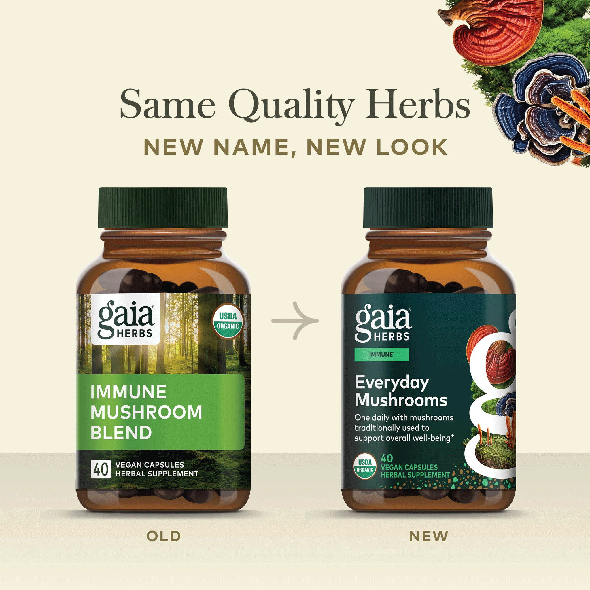 Gaia Herbs Everyday Mushrooms (Formerly Immune Mushroom Blend)