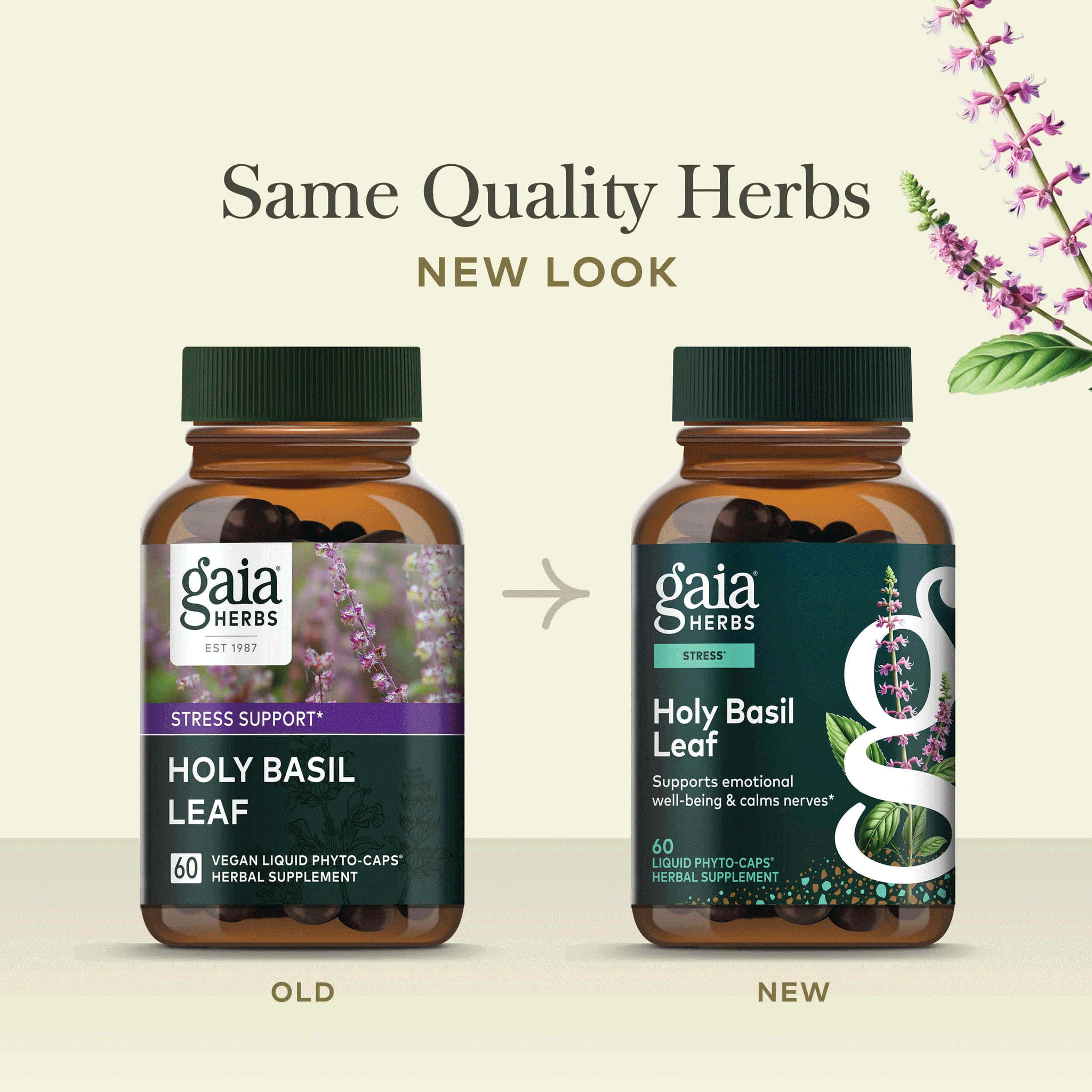 Gaia Herbs Holy Basil Leaf Capsules