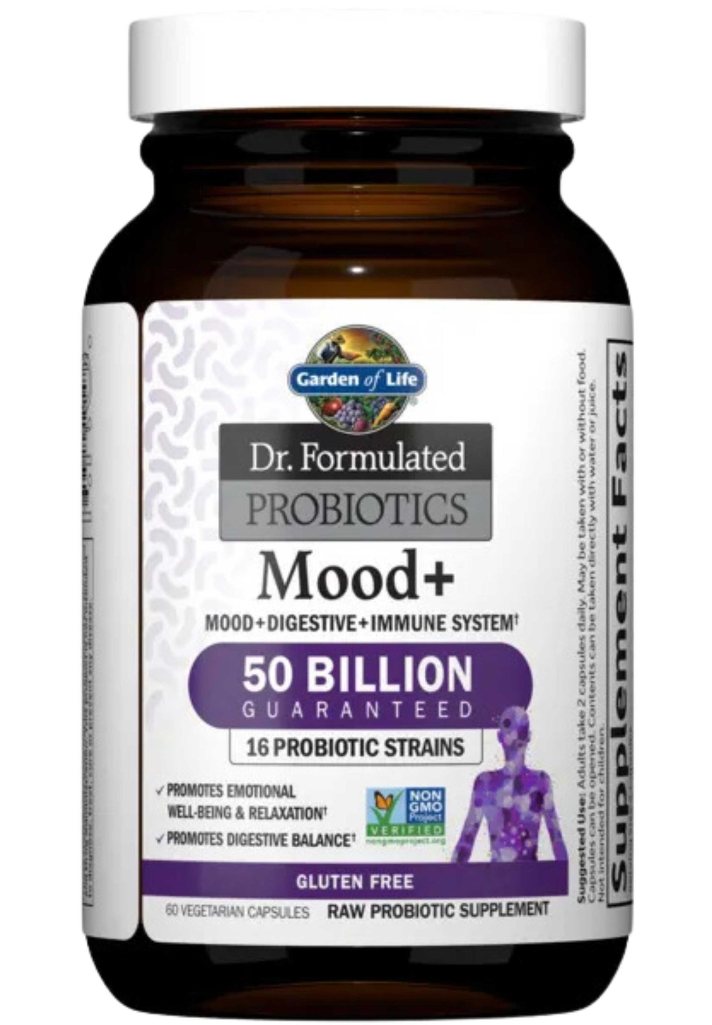 Garden of Life Dr. Formulated Probiotics Mood+