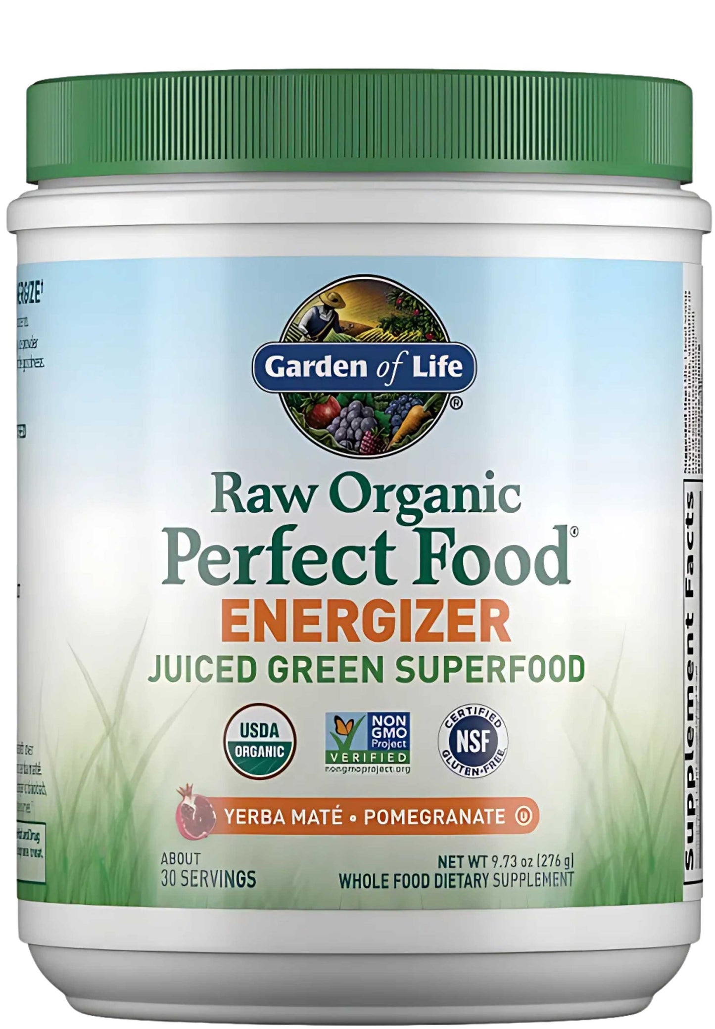 Garden of Life Raw Organic Perfect Food Energizer