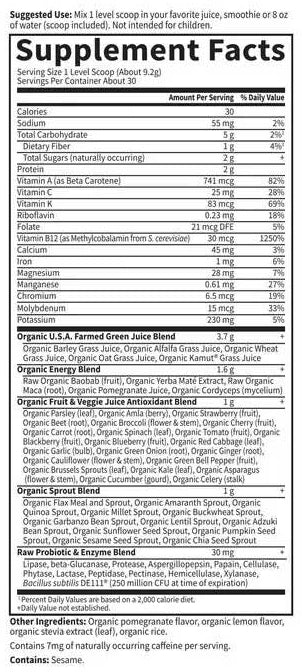 Garden of Life Raw Organic Perfect Food Energizer