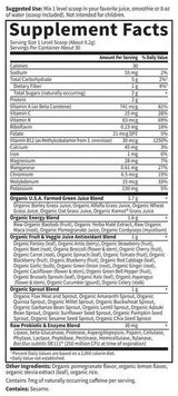 Garden of Life Raw Organic Perfect Food Energizer