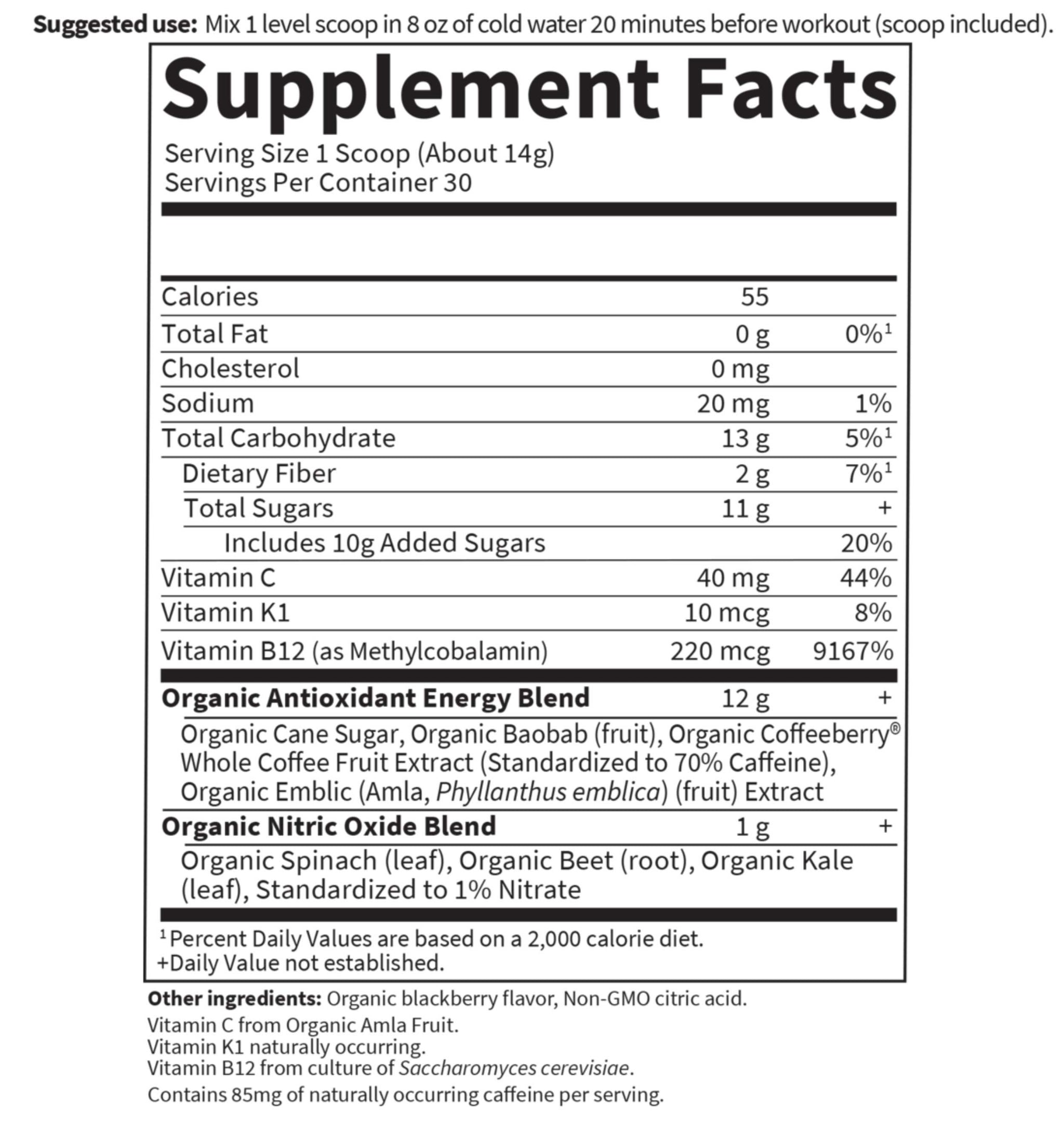 Garden of Life SPORT Organic Plant-Based Energy + Focus Blackberry