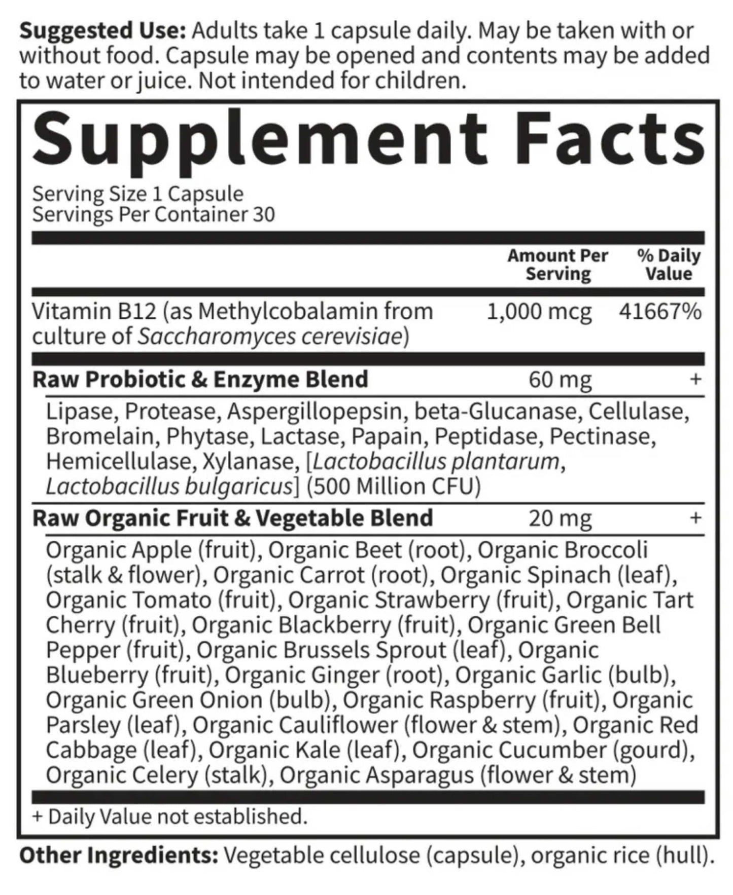 Garden of Life Vitamin Code RAW B-12