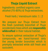 Herb Pharm Thuja