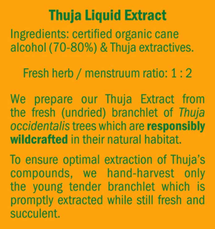 Herb Pharm Thuja