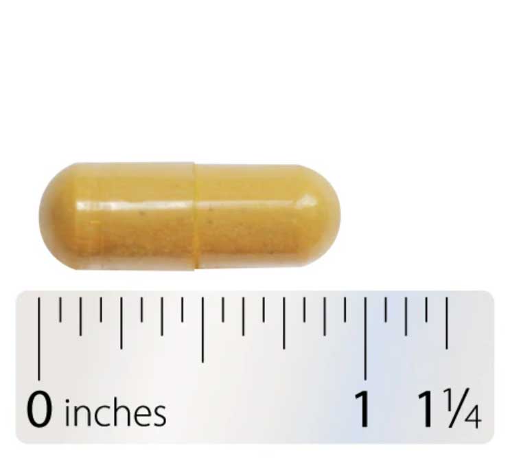 Integrative Therapeutics Clinical Nutrients HP