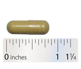 Integrative Therapeutics Detoxication Factors