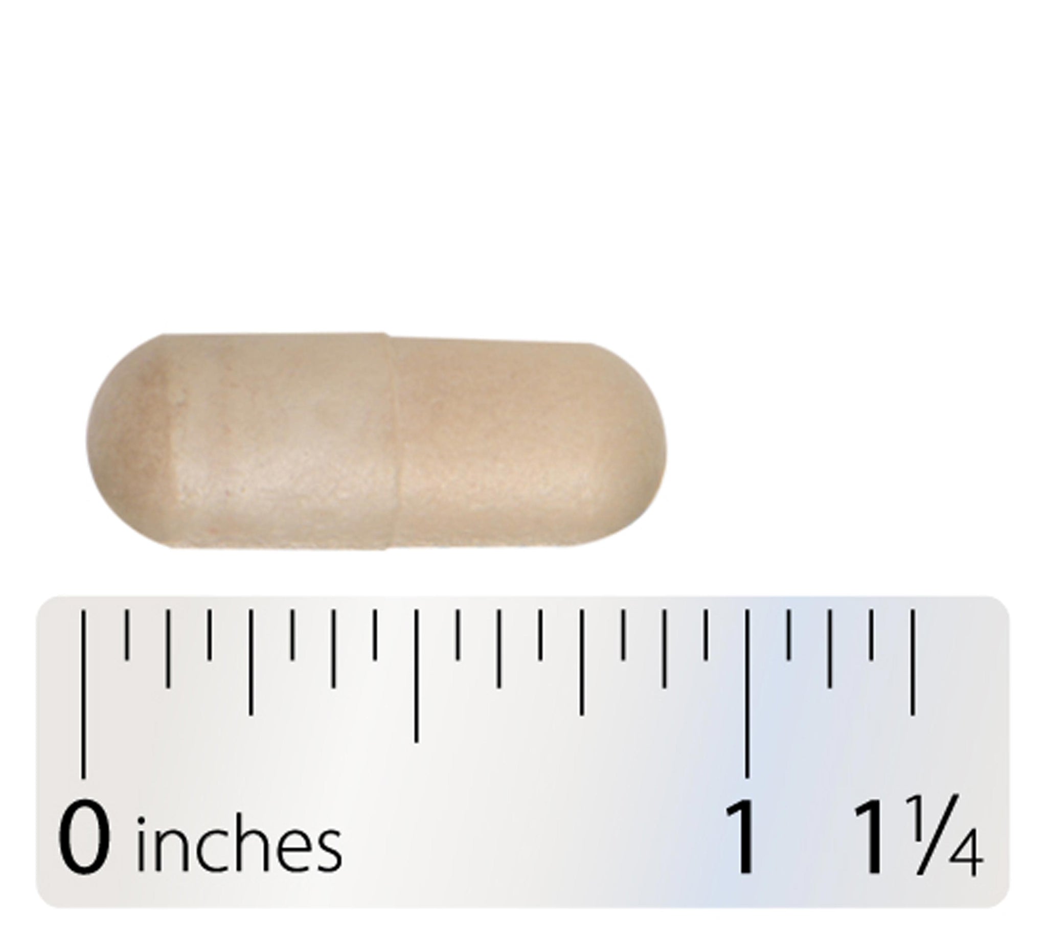 Integrative Therapeutics Enterogenic Intensive 100