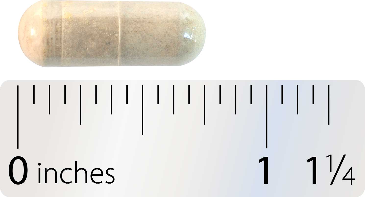 Integrative Therapeutics Super Milk Thistle X