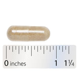 Integrative Therapeutics Testosterone Formula