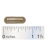 Integrative Therapeutics Vitex Extract