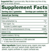 MegaFood B12 Energy Gummies - Cranberry