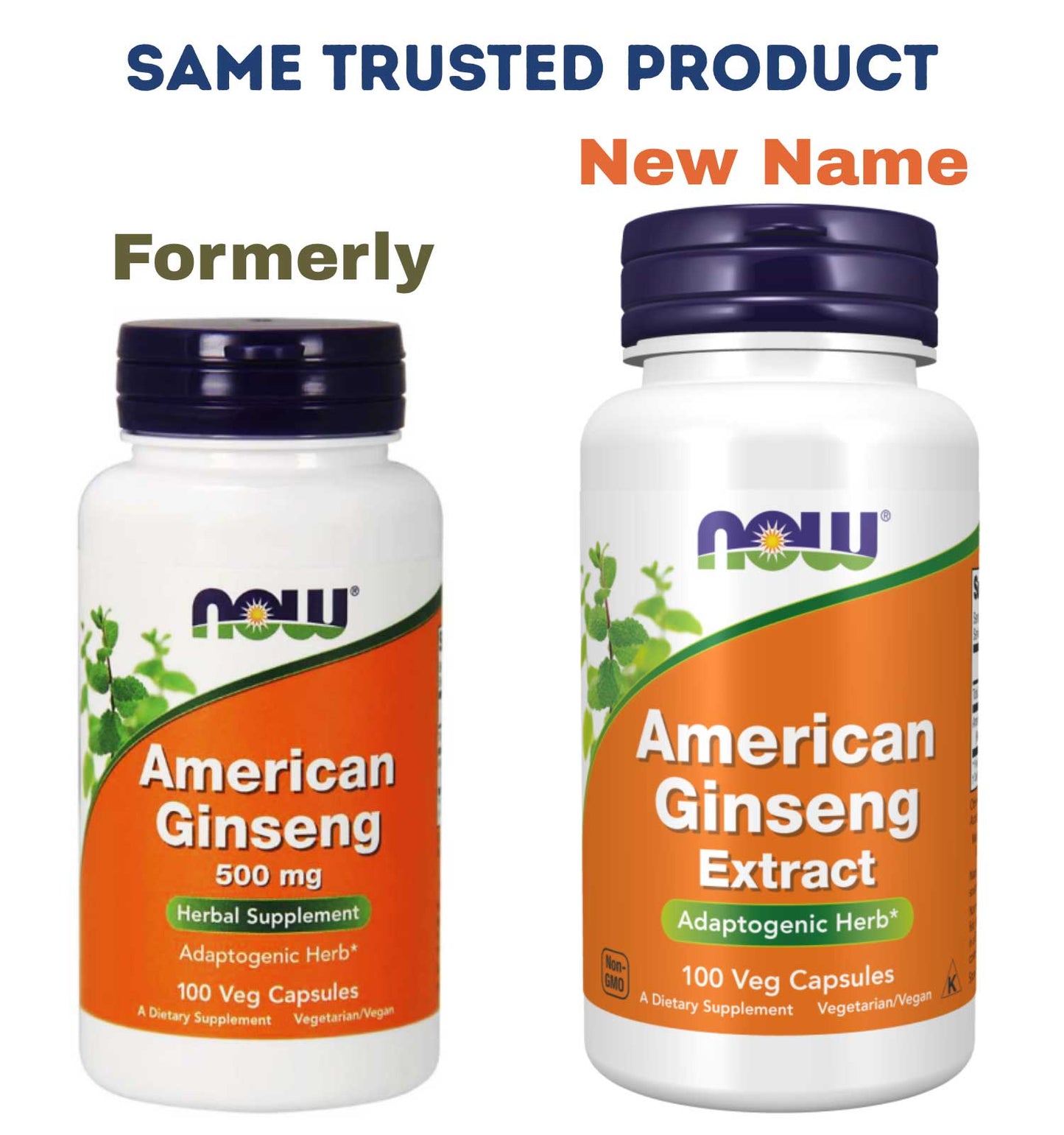 NOW American Ginseng Extract (NOW American Ginseng 500 mg)