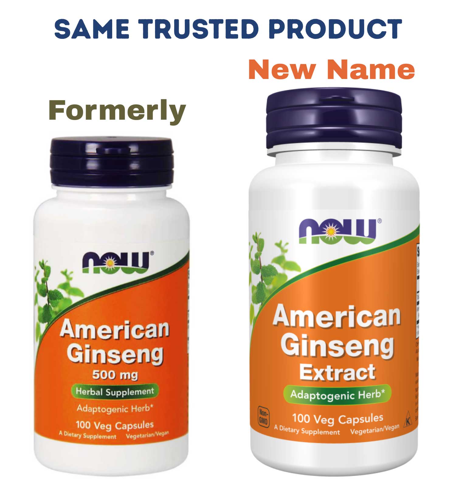 NOW American Ginseng Extract (NOW American Ginseng 500 mg)