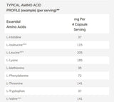 NOW Sports Amino Complete