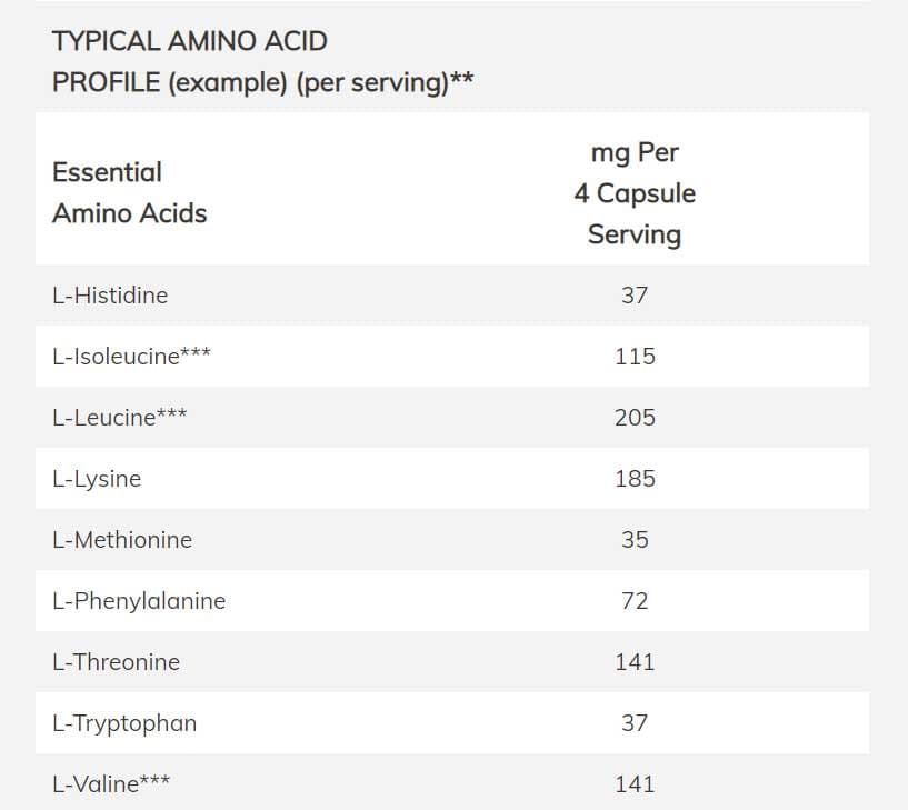 NOW Sports Amino Complete