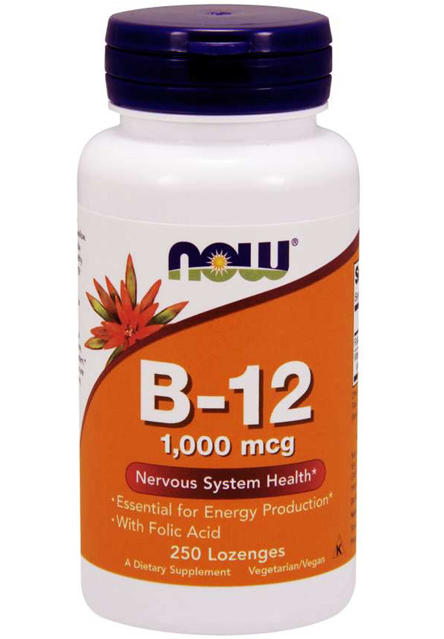 NOW B-12 1,000 mcg