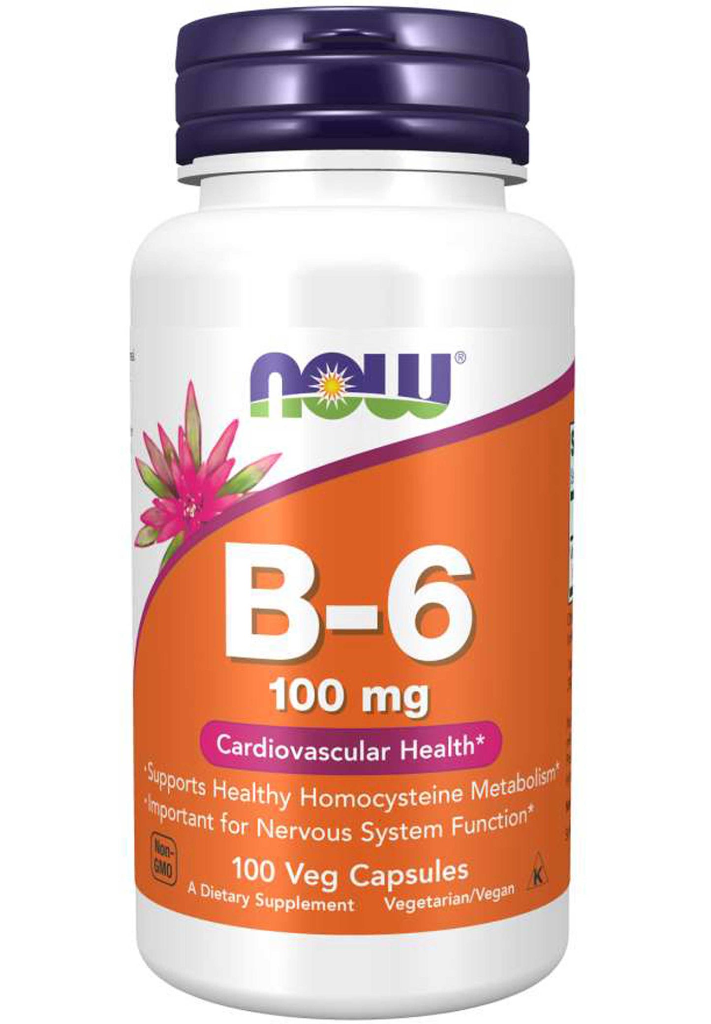 NOW B-6 100 mg