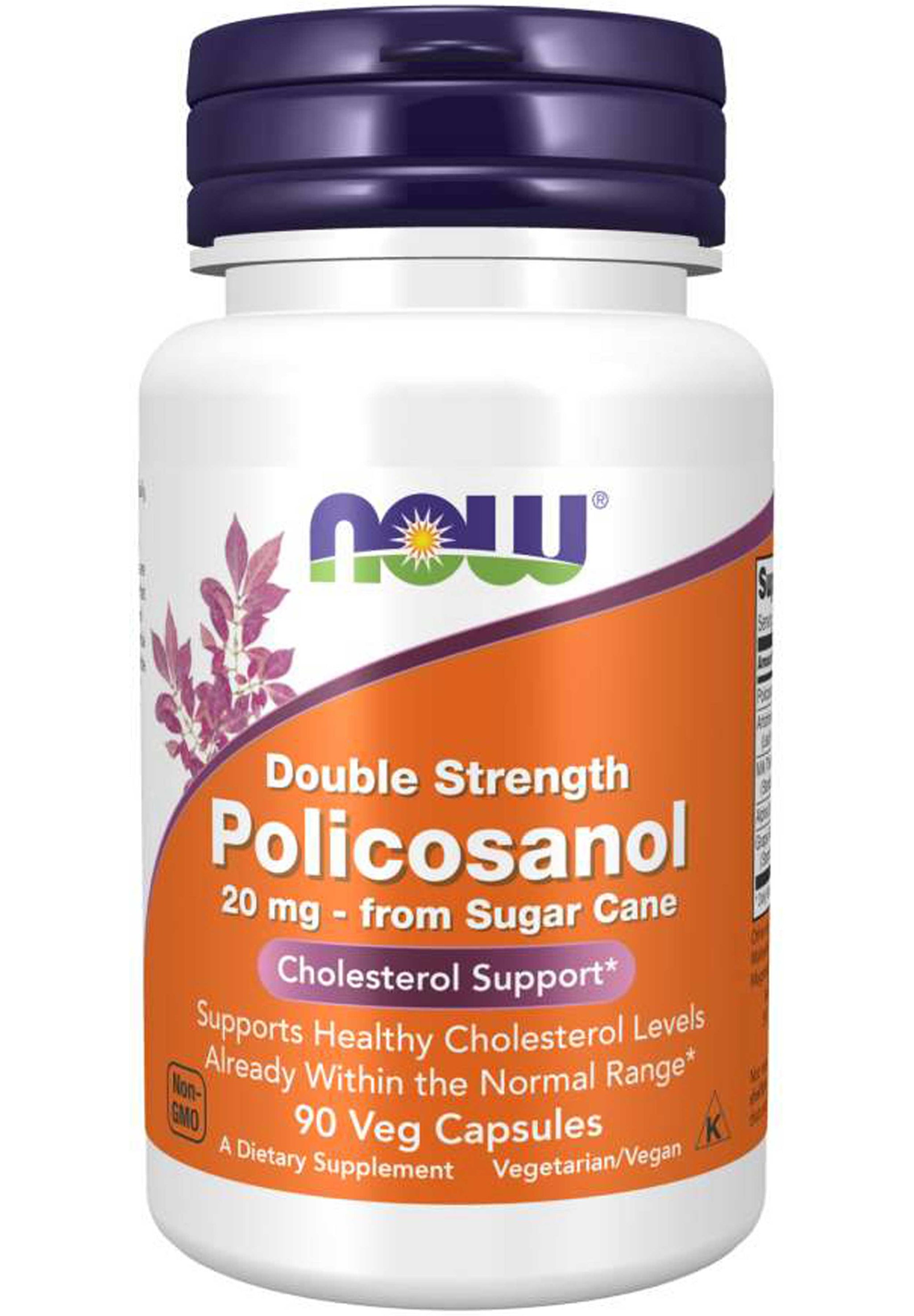 NOW Double Strength Policosanol 20 mg