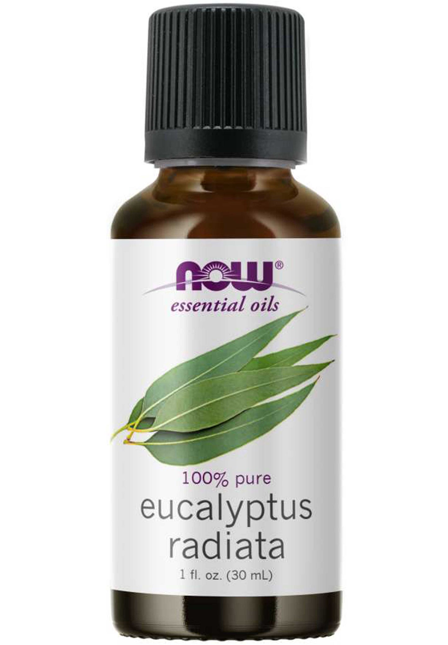 NOW Essential Oils Eucalyptus Radiata Oil