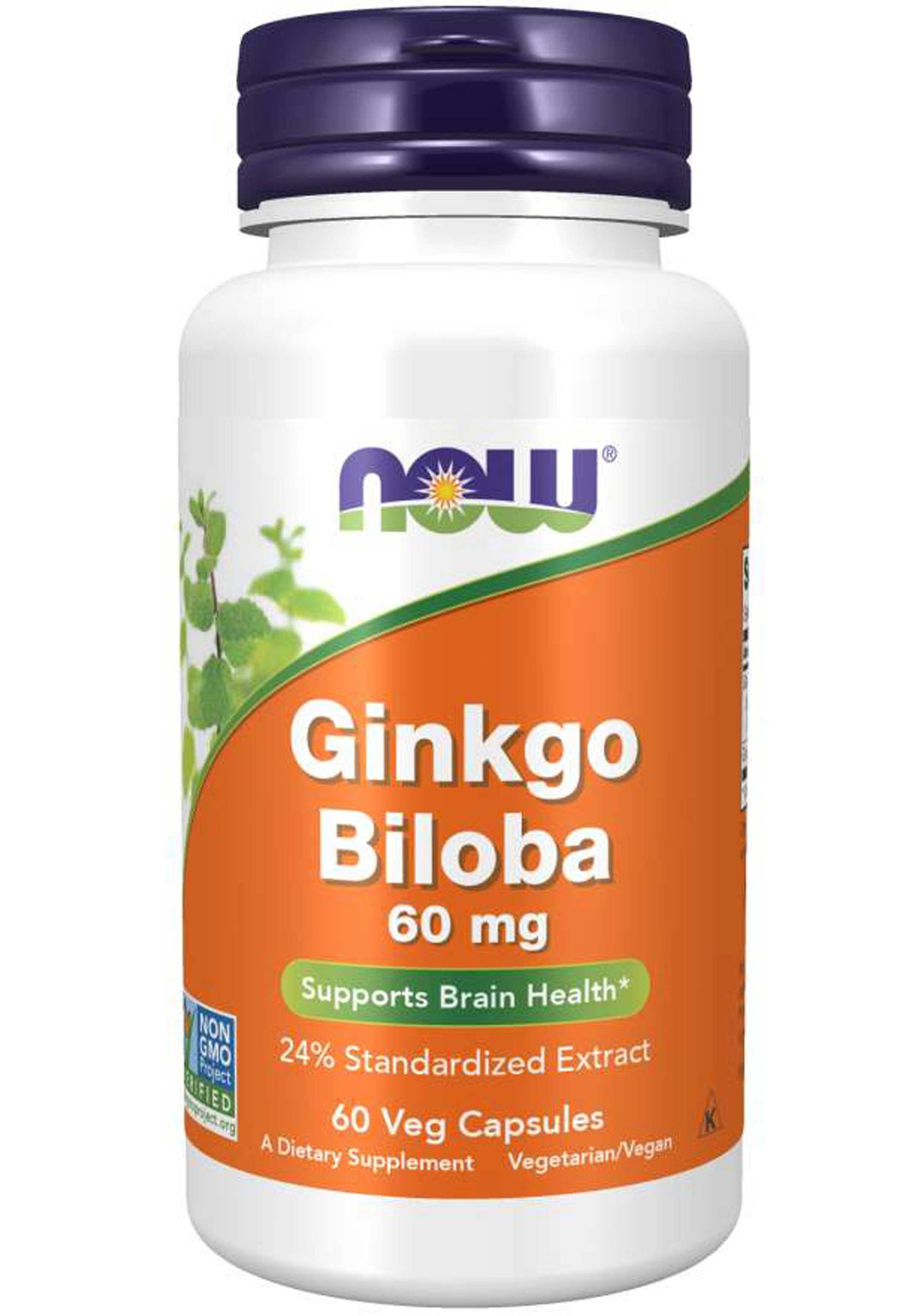 NOW Ginkgo Biloba 60 mg