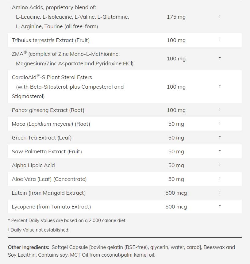 NOW Sports Men's Active Sports Multi