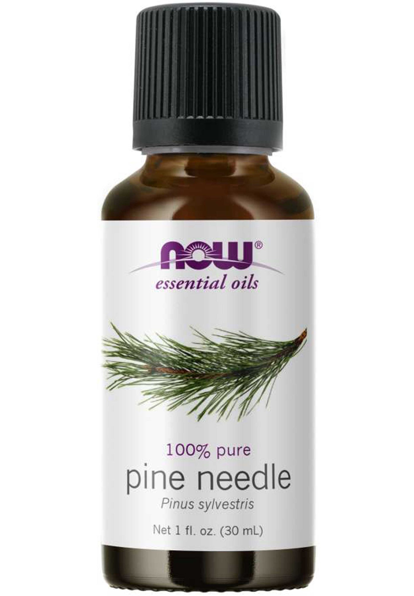 NOW Essential Oils Pine Needle Oil