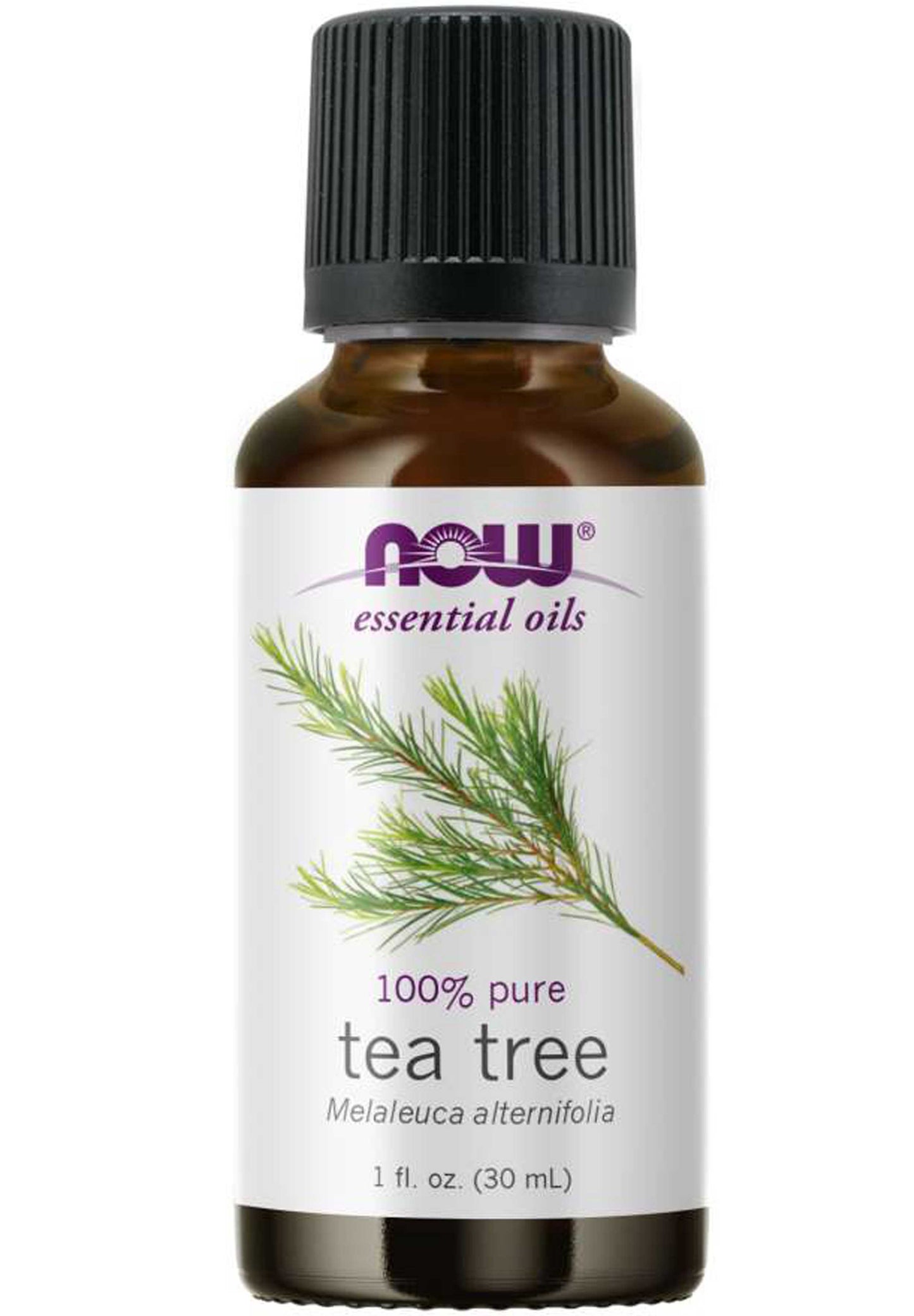 NOW Essential Oils 100% Pure Tea Tree