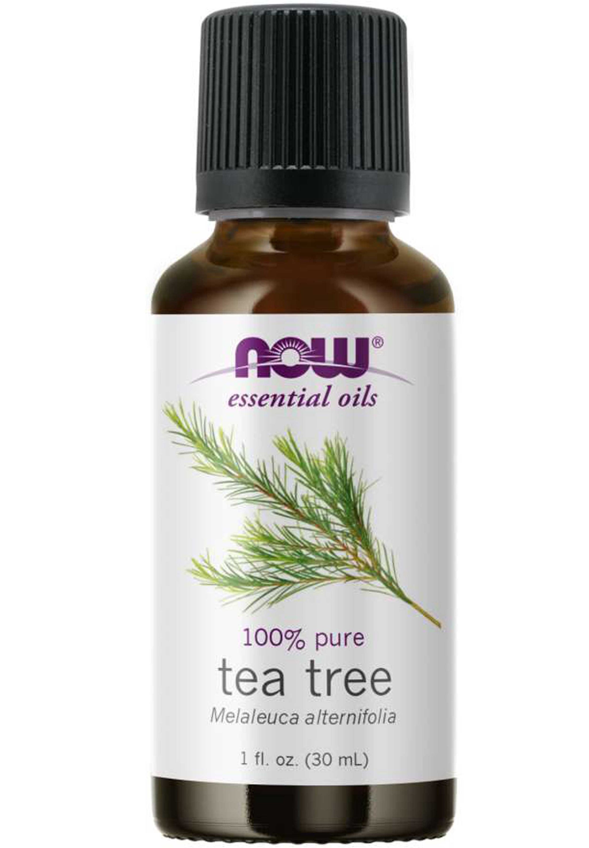 NOW Essential Oils 100% Pure Tea Tree