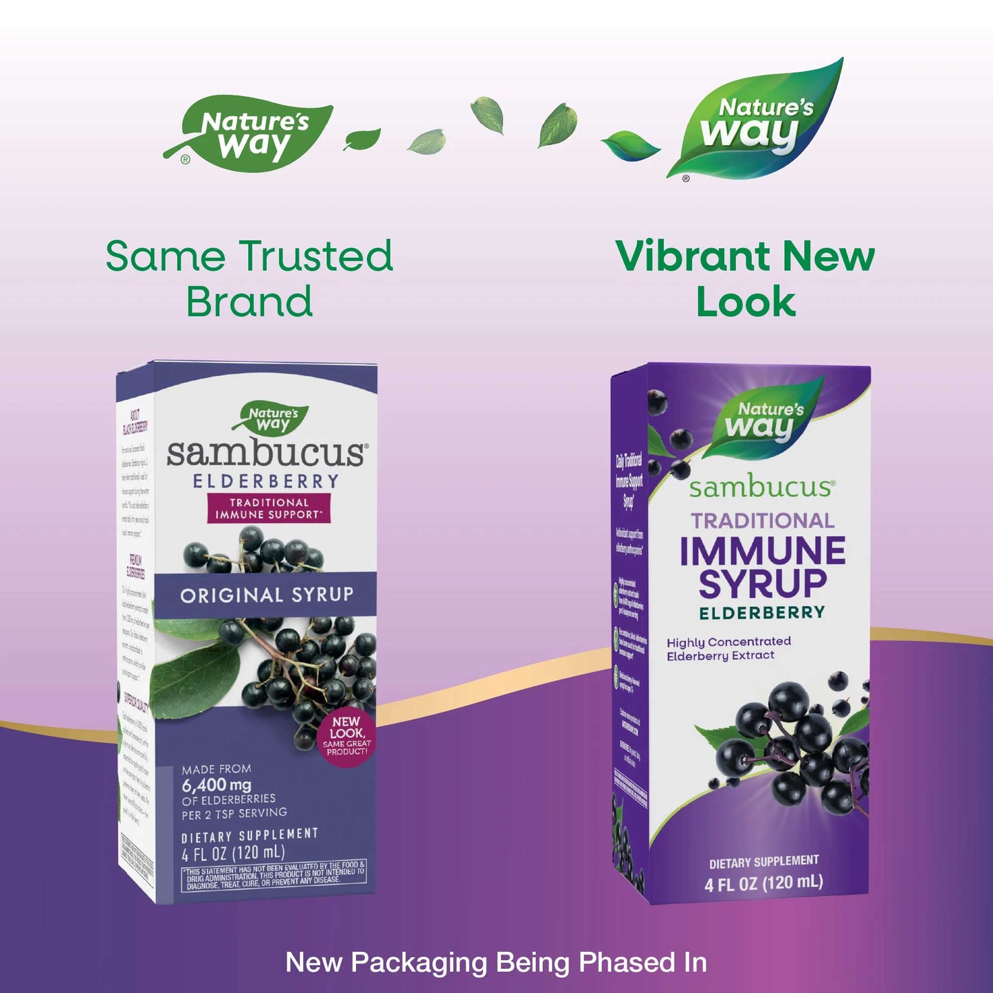 Nature's Way Sambucus Traditional Immune Syrup (Formerly Original Syrup)