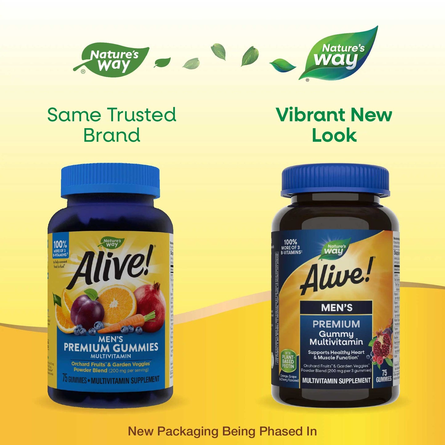 Nature's Way Alive! Men's Premium Gummies Multivitamin