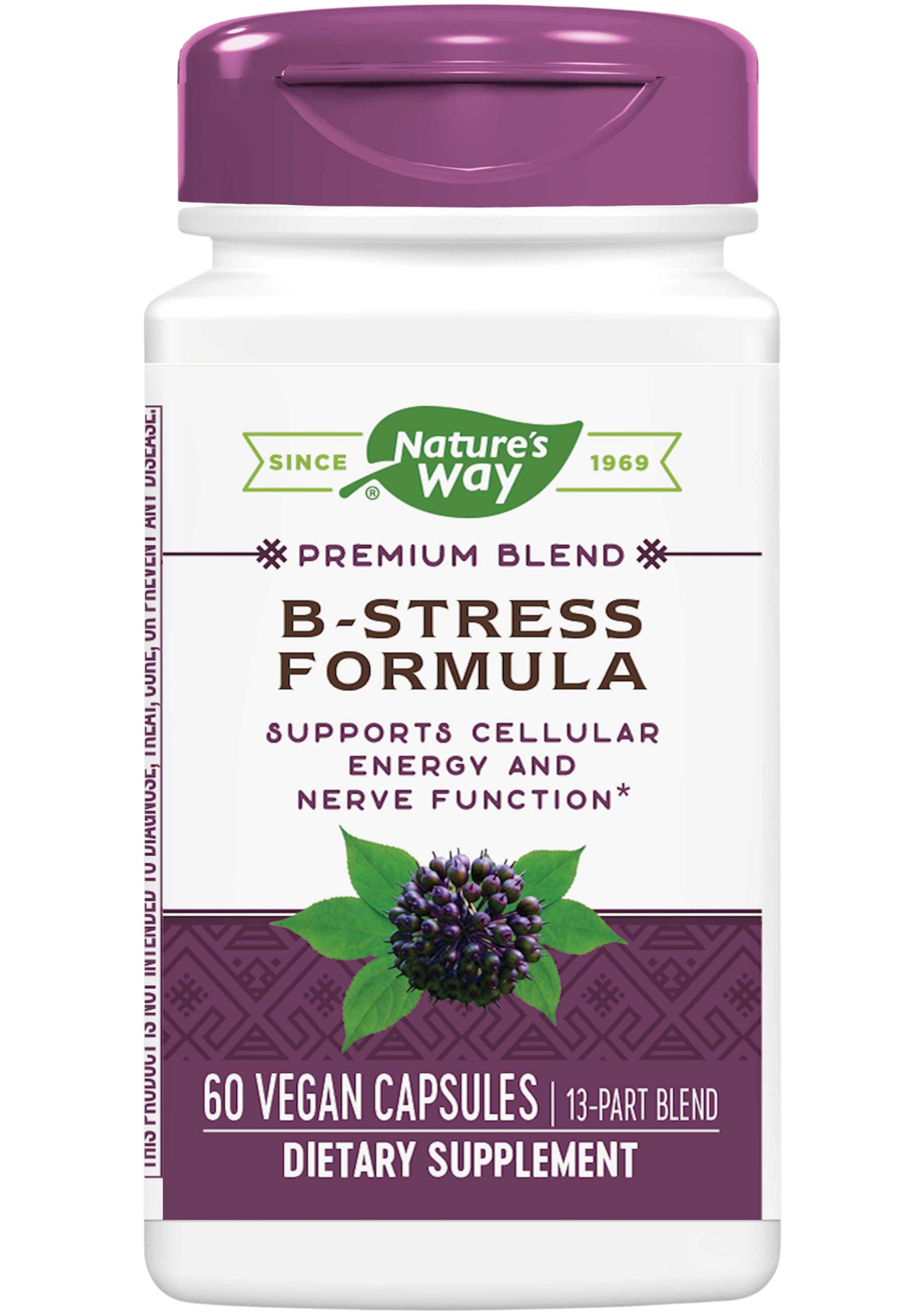 Nature's Way B-Stress Formula