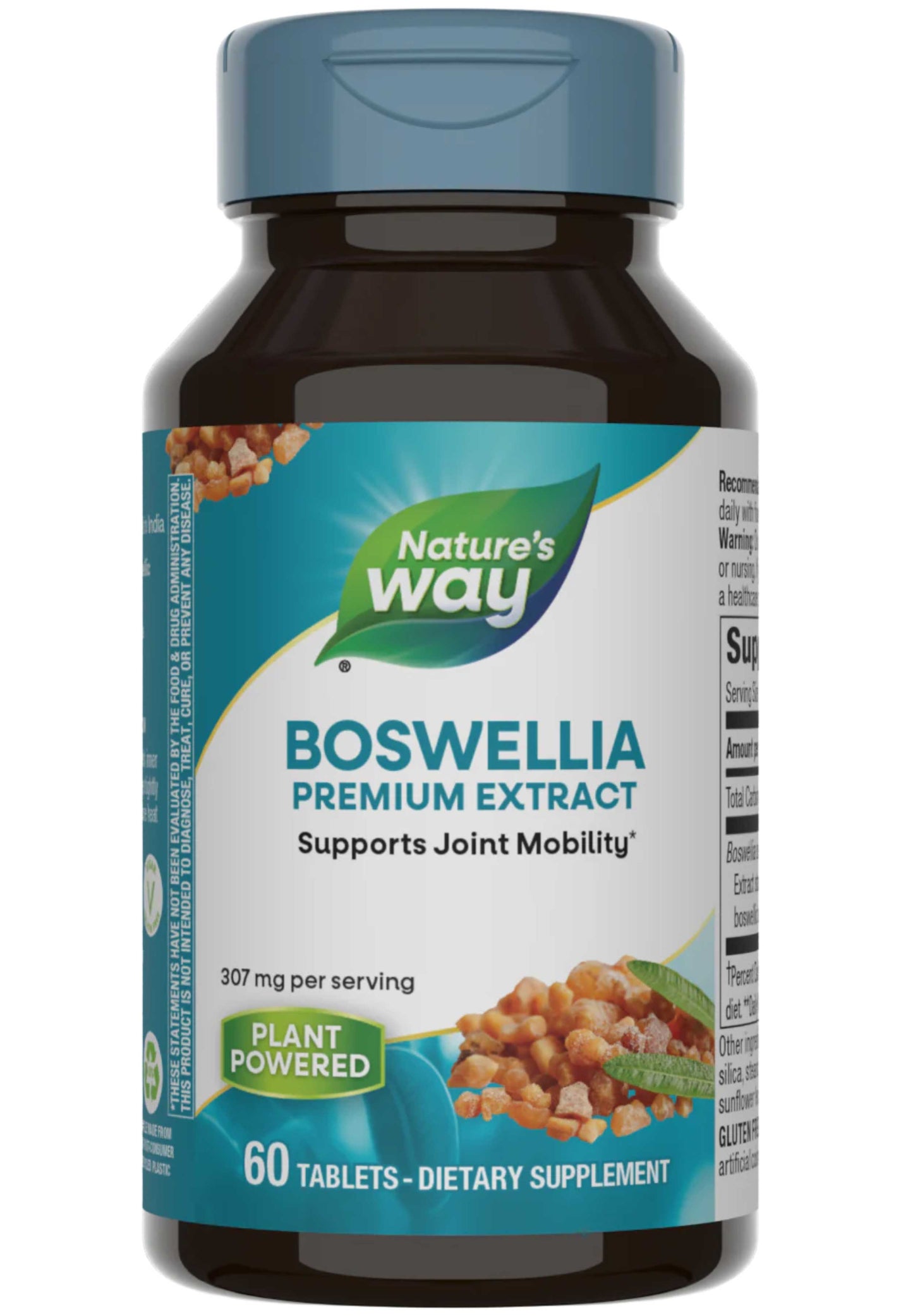 Nature's Way Boswellia Premium Extract