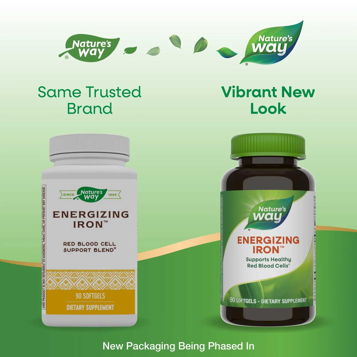 Nature's Way Energizing Iron