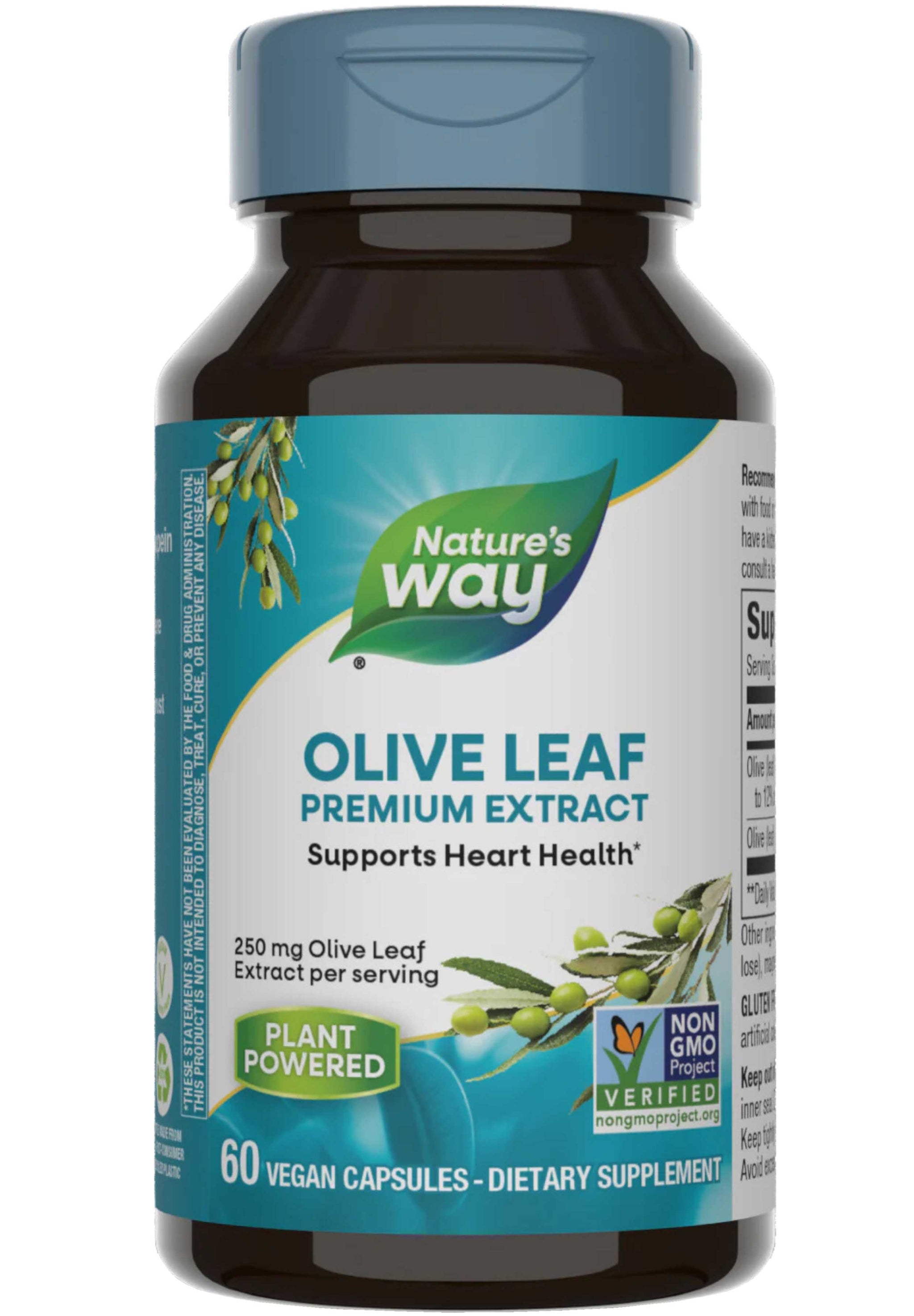 Nature's Way Olive Leaf Premium Extract