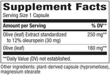 Nature's Way Olive Leaf Premium Extract