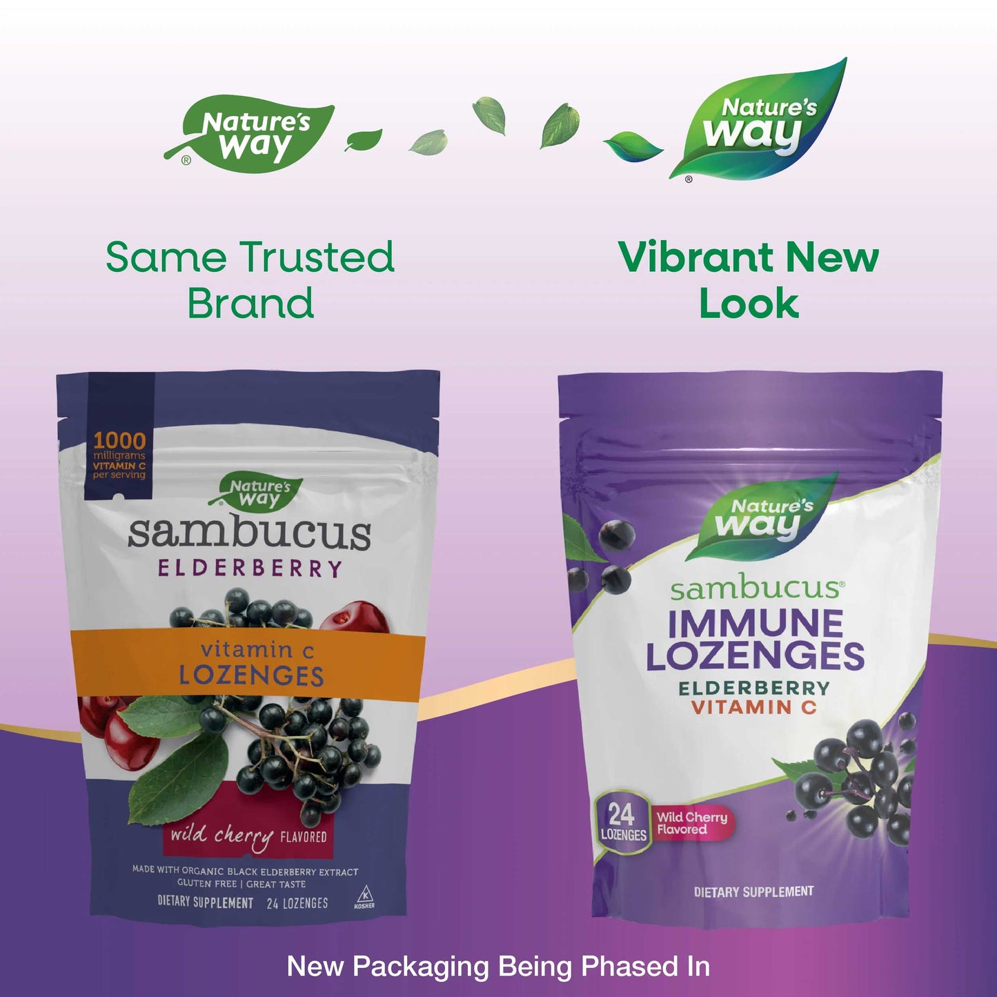 Nature's Way Sambucus Immune Lozenges Vitamin C Wild Cherry Lozenges