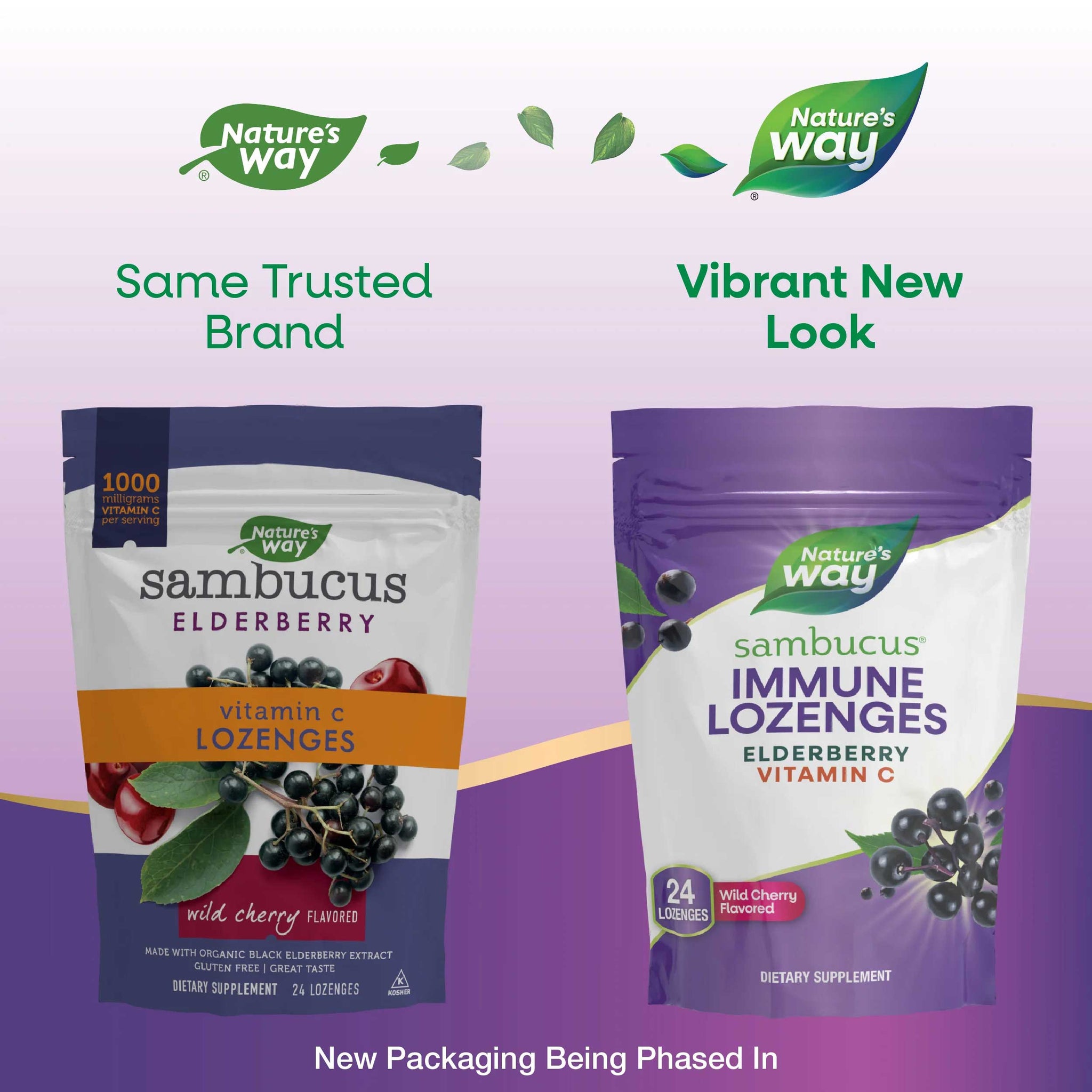 Nature's Way Sambucus Immune Lozenges Vitamin C Wild Cherry Lozenges