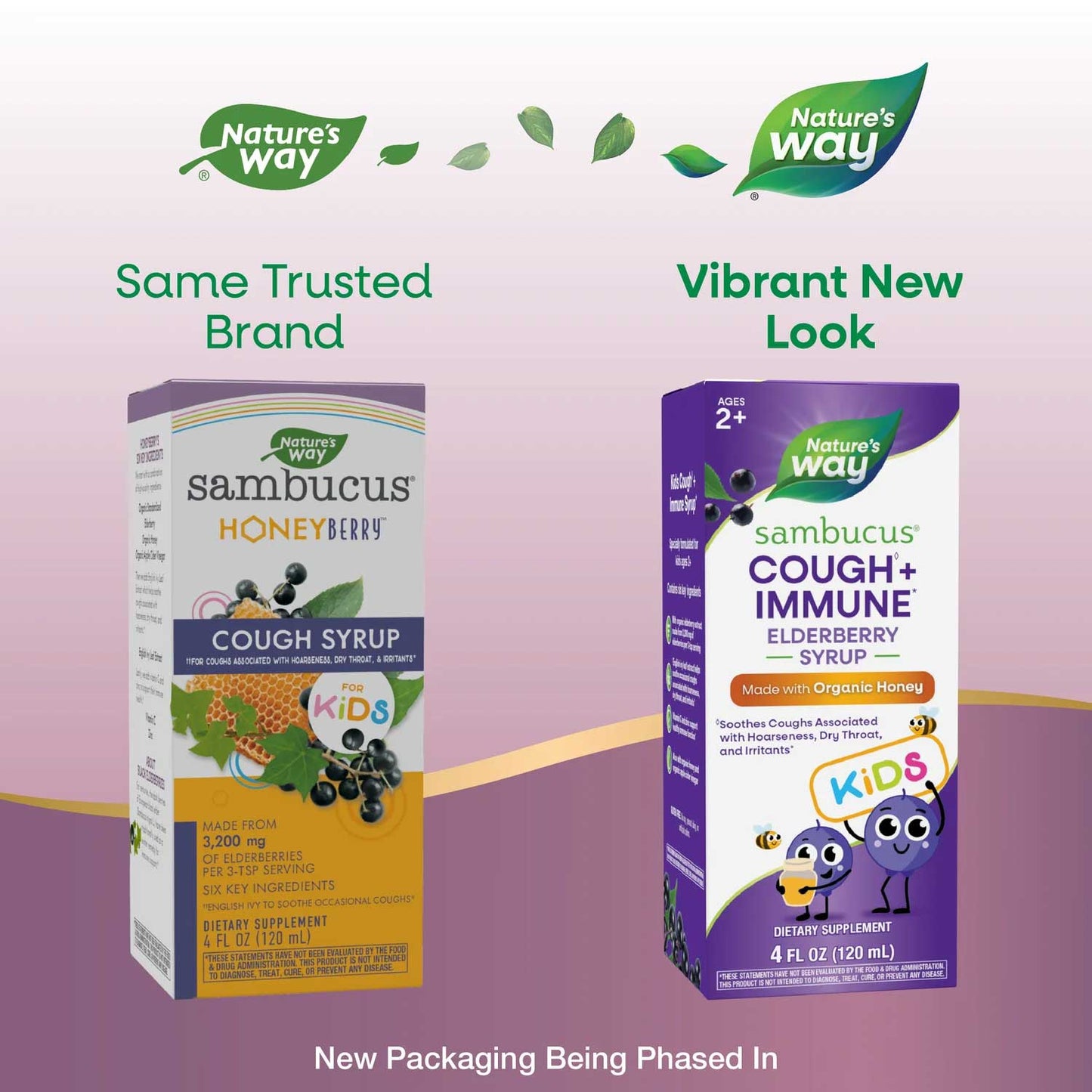 Nature's Way Sambucus Kids Cough + Immune Elderberry Syrup