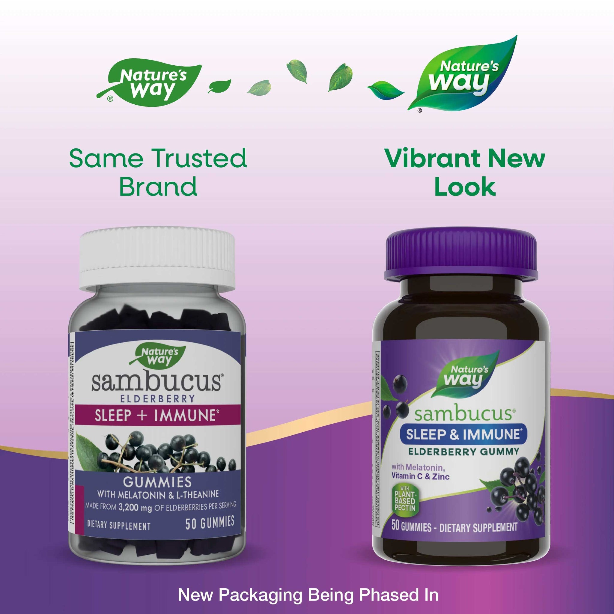 Nature's Way Sambucus Sleep + Immune Gummies