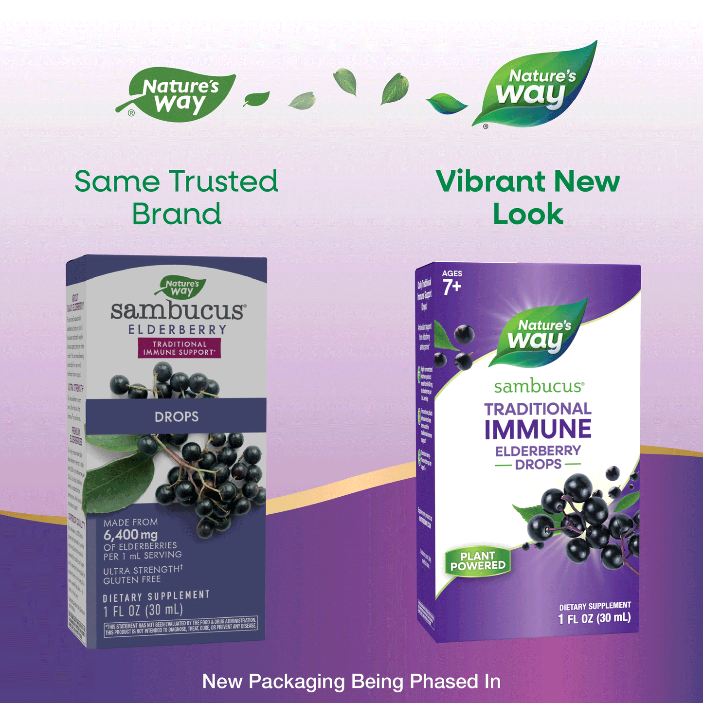 Nature's Way Sambucus Traditional Immune Elderberry Drops